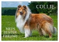 Collie - Mein bester Freund (Wandkalender 2024 DIN A3 quer), CALVENDO Monatskalender - Sigrid Starick