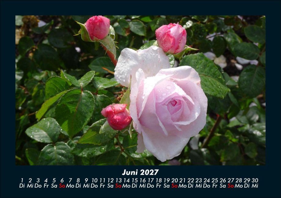 InsideView 10
