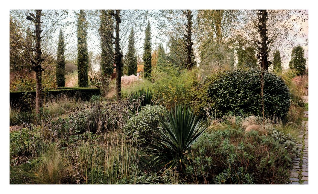 InsideView 6