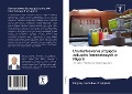 Cover-Bild zum Titel 'Uwarunkowania przyj¿cia zakupów internetowych w Nigerii' von 'Kingsley Ikechukwu Onyegbule'