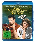 Cover-Bild zum Titel 'Ein Goldfisch an der Leine' von 'Pat Frank, John Fenton Murray, Steve McNeil, Henry Mancini'