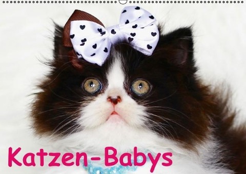 Katzen-Babys (Wandkalender immerwährend DIN A2 quer) - Elisabeth Stanzer