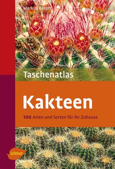 Kakteen - Markus Berger