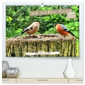 Herr und Frau Gimpel - Stammgäste im Garten (hochwertiger Premium Wandkalender 2025 DIN A2 quer), Kunstdruck in Hochglanz - Henning von Löwis of Menar