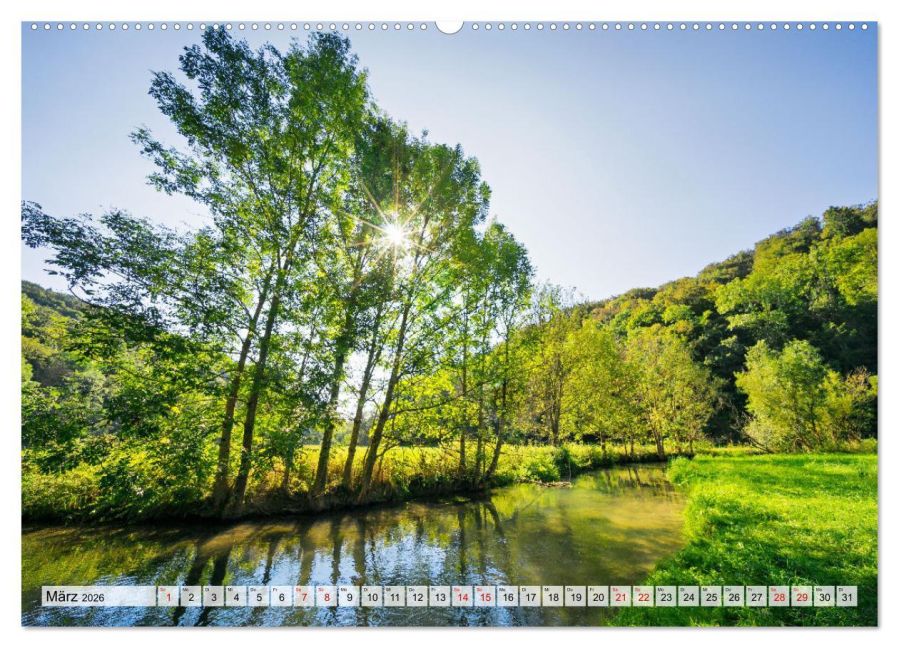 InsideView 8