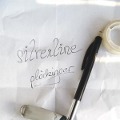 Cover-Bild zum Titel 'Silverline' von 'Plöckinger'