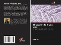 Cover-Bild zum Titel 'Sintassi della lingua urdu' von 'Aasim Ali'