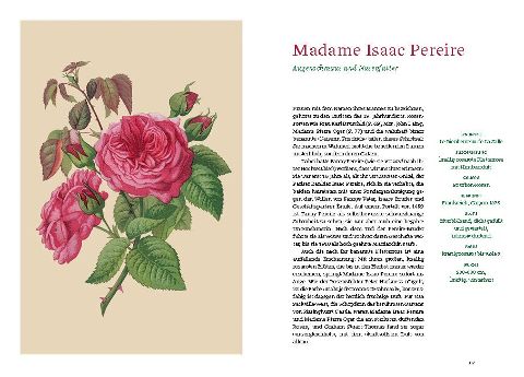 InsideView 7