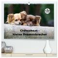 Chihuahuas - kleine Herzensbrecher (hochwertiger Premium Wandkalender 2024 DIN A2 quer), Kunstdruck in Hochglanz - Verena Scholze