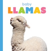 Cover-Bild zum Titel 'Baby Llamas' von 'Kim Thompson'