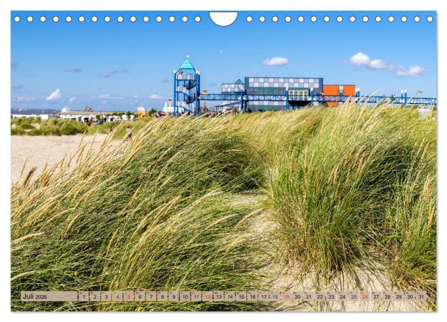 InsideView 12
