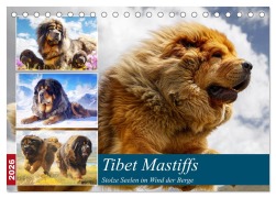 Tibet Mastiffs. Stolze Seelen im Wind der Berge (Tischkalender 2026 DIN A5 quer), CALVENDO Monatskalender - Rose Hurley