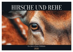 Cover-Bild zum Titel 'HIRSCHE UND REHE - Ein Jahr in freier Wildbahn (Wandkalender 2026 DIN A2 quer), CALVENDO Monatskalender' von 'Mb Fotografie'