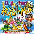 Cover-Bild zum Titel 'Ballermann Hütten Mix 2024' von 'Various'