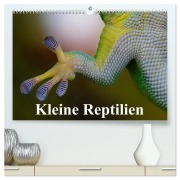 Cover-Bild zum Titel 'Kleine Reptilien (hochwertiger Premium Wandkalender 2026 DIN A2 quer), Kunstdruck in Hochglanz' von 'Elisabeth Stanzer'