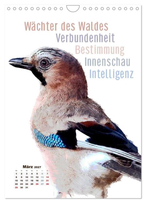 InsideView 8