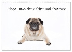 Cover-Bild zum Titel 'Mops - unwiderstehlich und charmant (Wandkalender 2026 DIN A2 quer), CALVENDO Monatskalender' von 'Fotodesign Verena Scholze'
