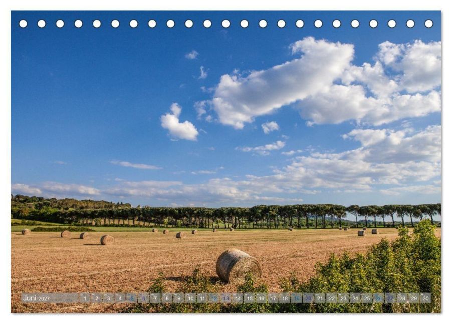 InsideView 11