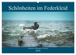Cover-Bild zum Titel 'Schönheiten im Federkleid - Heimische Wildvögel im Portrait (Wandkalender 2026 DIN A2 quer), CALVENDO Monatskalender' von 'Sabine Grahneis'