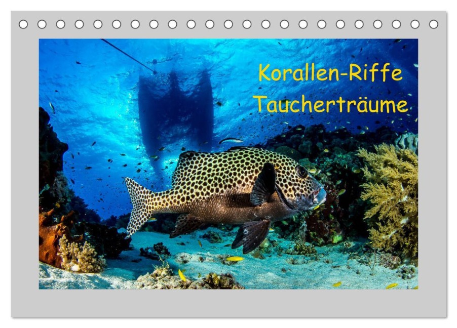 Korallen-Riffe Taucherträume (Tischkalender 2026 DIN A5 quer), CALVENDO Monatskalender - Sascha Caballero