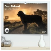 Cover-Bild zum Titel 'Der Briard 2027 - Ein echter Charmeur (hochwertiger Premium Wandkalender 2027 DIN A2 quer), Kunstdruck in Hochglanz' von 'Sonja Teßen'