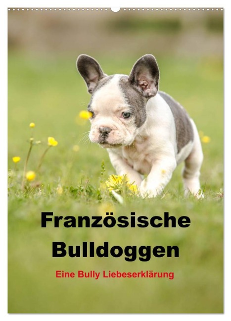 Französische Bulldoggen - Eine Bully Liebeserkärung (Wandkalender 2026 DIN A2 hoch), CALVENDO Monatskalender - Yvonne Obermüller