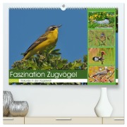 Cover-Bild zum Titel 'Faszination Zugvögel - Rekorde in der Vogelwelt (hochwertiger Premium Wandkalender 2026 DIN A2 quer), Kunstdruck in Hochglanz' von 'René Schaack'