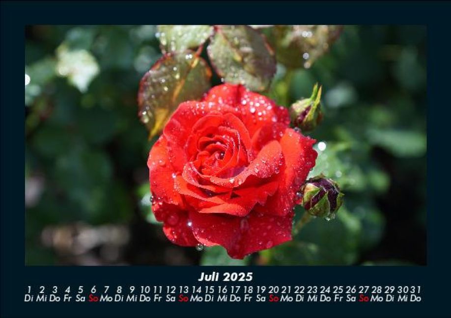 InsideView 11