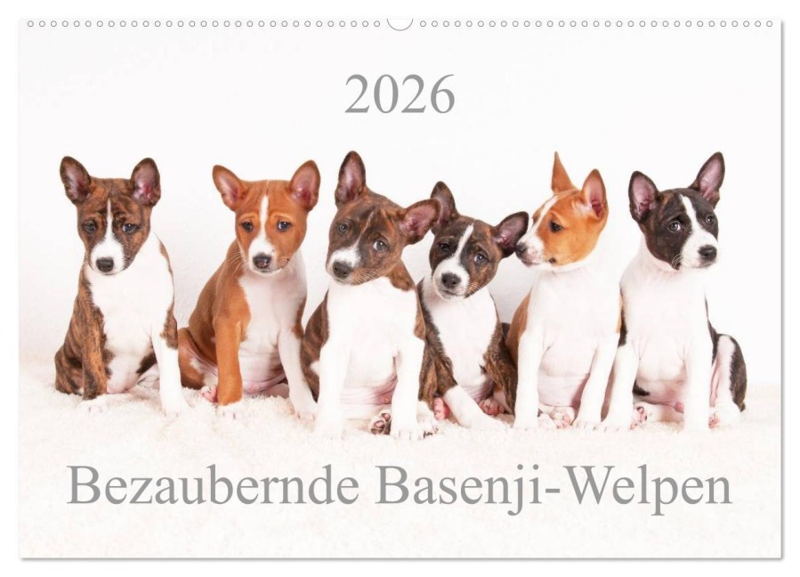 Bezaubernde Basenji-Welpen (Wandkalender 2026 DIN A2 quer), CALVENDO Monatskalender - Angelika Joswig