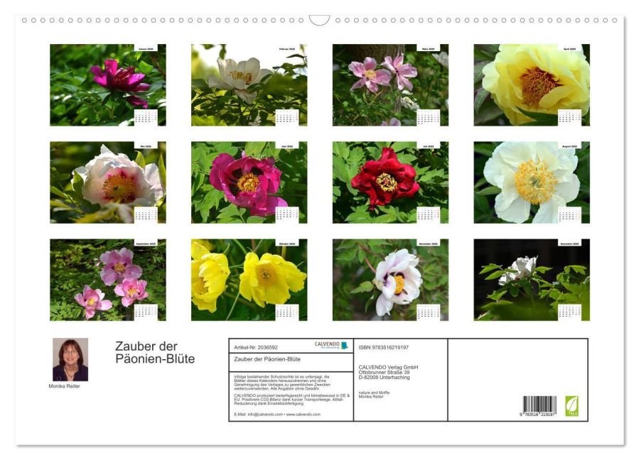 InsideView 5
