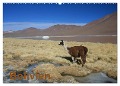 Bolivien (Wandkalender 2024 DIN A2 quer), CALVENDO Monatskalender - Alboter Alboter