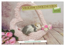 Cover-Bild zum Titel 'MEERSCHWEINCHEN verzaubern uns immer wieder (Wandkalender 2026 DIN A3 quer), CALVENDO Monatskalender' von 'Sabine Hampe-Neves'