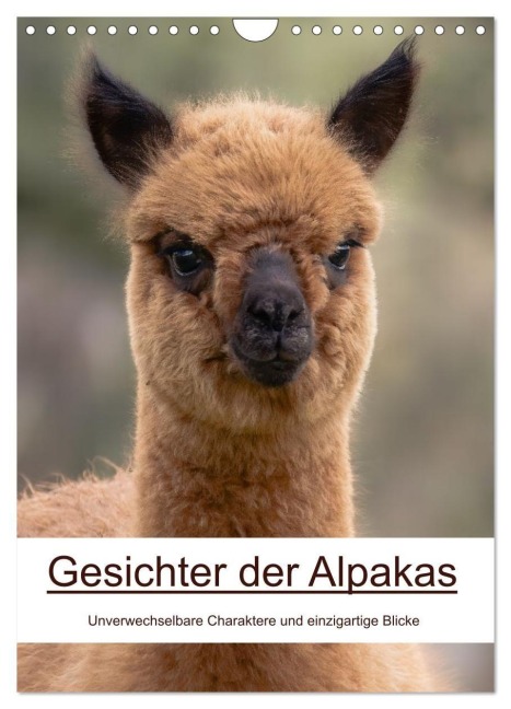 Gesichter der Alpakas - Unverwechselbare Charaktere und einzigartige Blicke (Wandkalender 2026 DIN A4 hoch), CALVENDO Monatskalender - Nicolette Wollentin