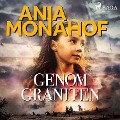 Cover-Bild zum Titel 'Genom graniten' von 'Ania Monahof'