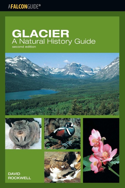 Glacier: A Natural History Guide - David Rockwell
