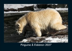 Cover-Bild zum Titel 'Pinguine & Eisbären 2027 Fotokalender DIN A5' von 'Tobias Schmitt, Kevin Heber'