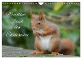 Mein kleiner Freund das Eichhörnchen (Wandkalender 2025 DIN A4 quer), CALVENDO Monatskalender - Rufotos Rufotos