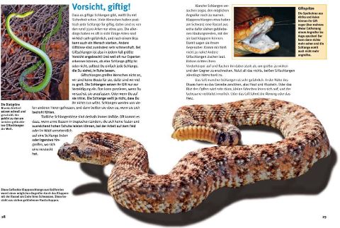 InsideView 2