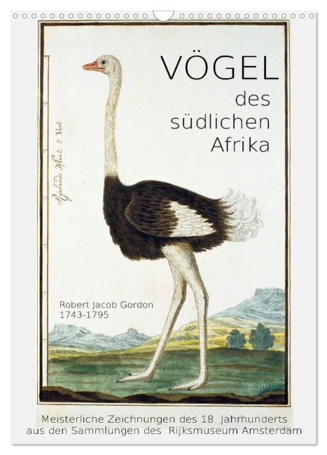 Vögel des südlichen Afrika (Wandkalender 2026 DIN A3 hoch), CALVENDO Monatskalender - Jost Galle