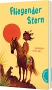 Cover-Bild zum Titel 'Fliegender Stern' von 'Ursula Wölfel'