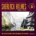 Cover-Bild zum Titel 'Sherlock Holmes und das Orakel der Runen' von 'Arthur Conan Doyle, Franziska Franke'