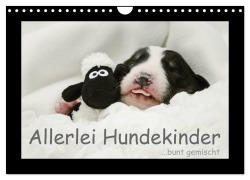 Allerlei Hundekinder (Wandkalender 2026 DIN A4 quer), CALVENDO Monatskalender - Kathrin Köntopp