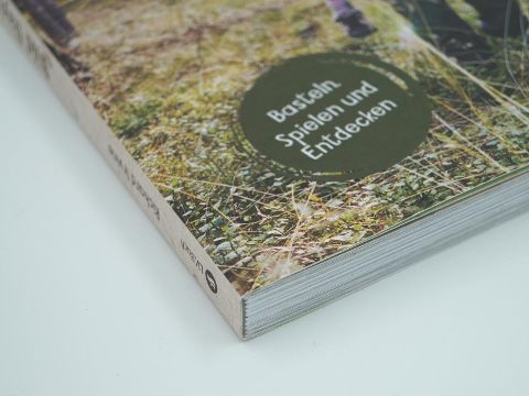 InsideView 4