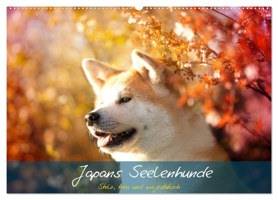 Japans Seelenhunde (Wandkalender 2025 DIN A2 quer), CALVENDO Monatskalender - Tamashinu Photography