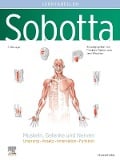 Cover-Bild zum Titel 'Sobotta Lerntabellen Anatomie Muskeln, Gelenke und Nerven' von ''
