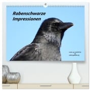 Rabenschwarze Impressionen - meike-ajo-dettlaff.de via wildvogelhlfe.org (hochwertiger Premium Wandkalender 2026 DIN A2 quer), Kunstdruck in Hochglanz - Meike Ajo. Dettlaff