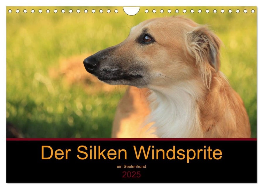 Der Silken Windsprite - ein Seelenhund (Wandkalender 2025 DIN A4 quer), CALVENDO Monatskalender - Sabine Alexandra Wais