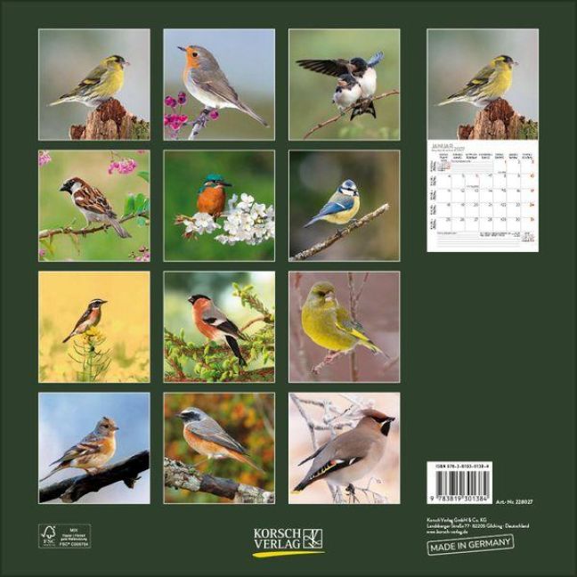 InsideView 13