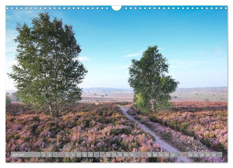 InsideView 12