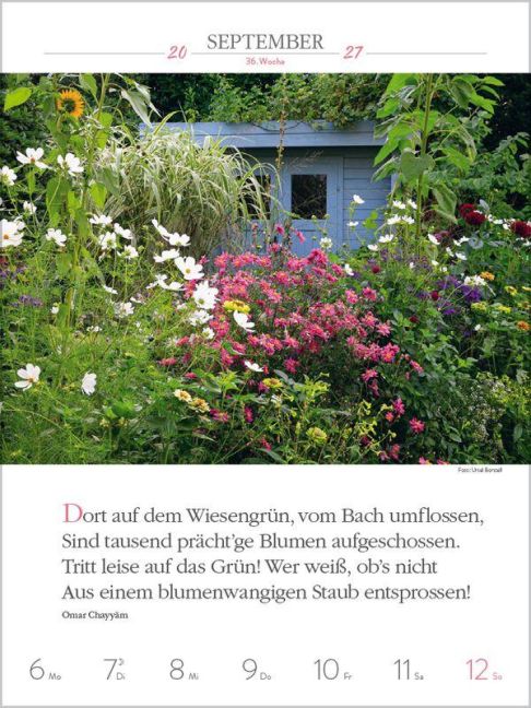 InsideView 10
